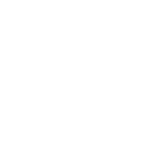 Expert Team Expert Team